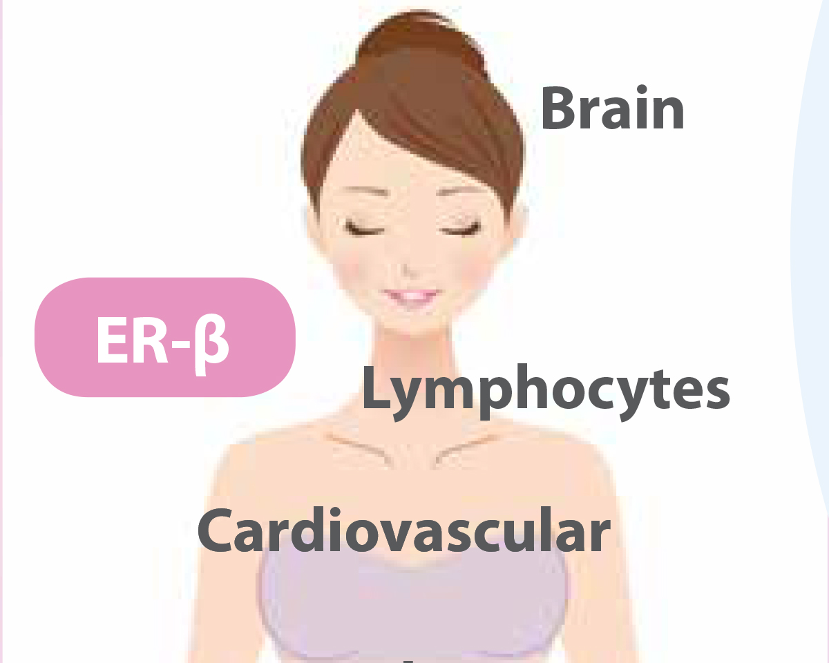 Life Extension Infographics